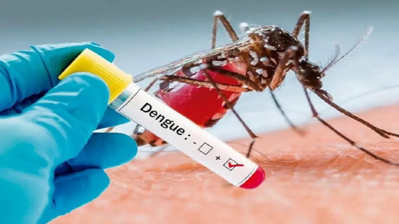 dengue1.jpg