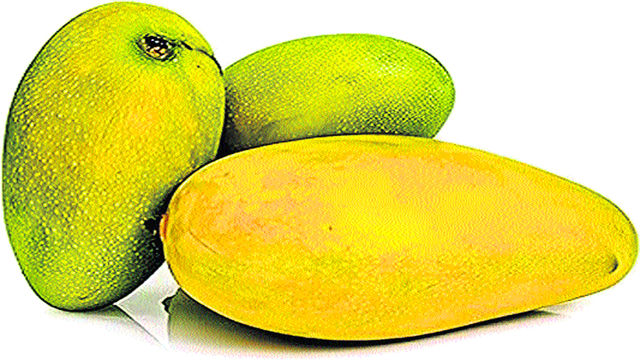 mango.jpg