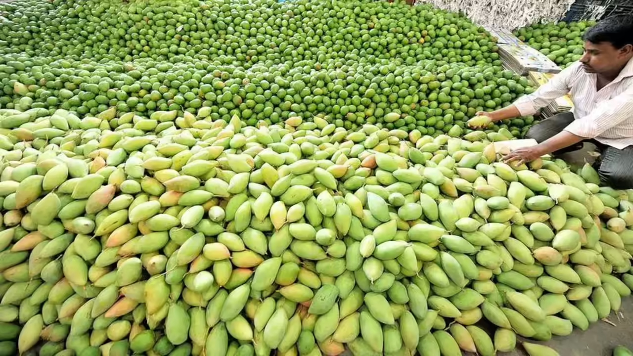 mangos1.jpg