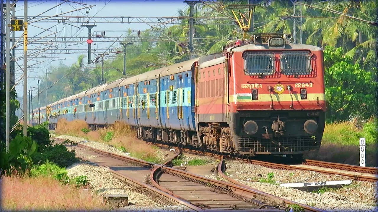 pandu1.2.jpg