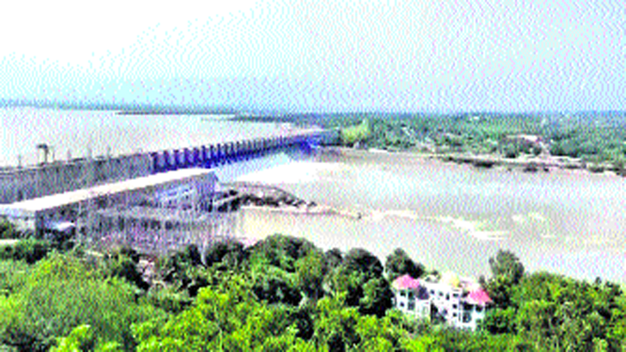 pandu1.jpg