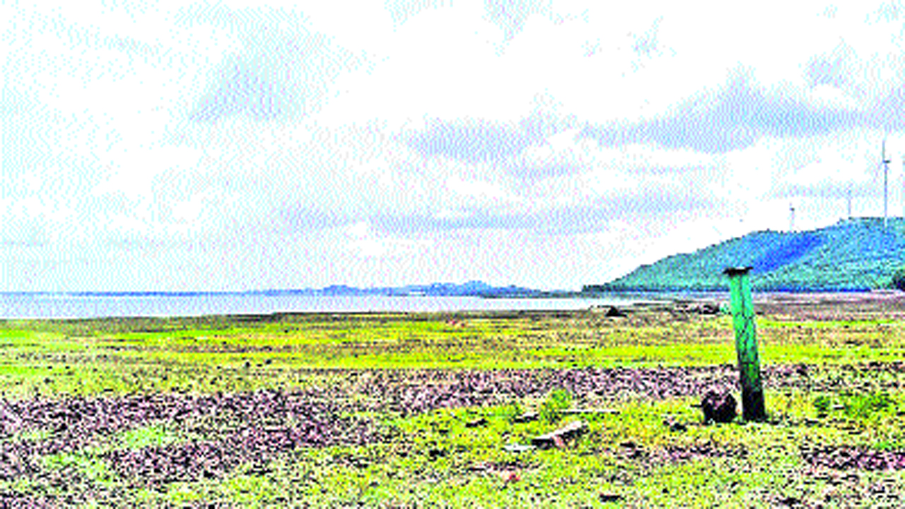 pandu1.jpg