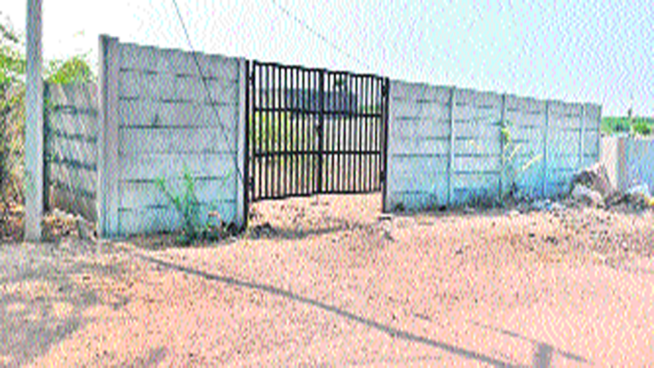 ycp1.jpg