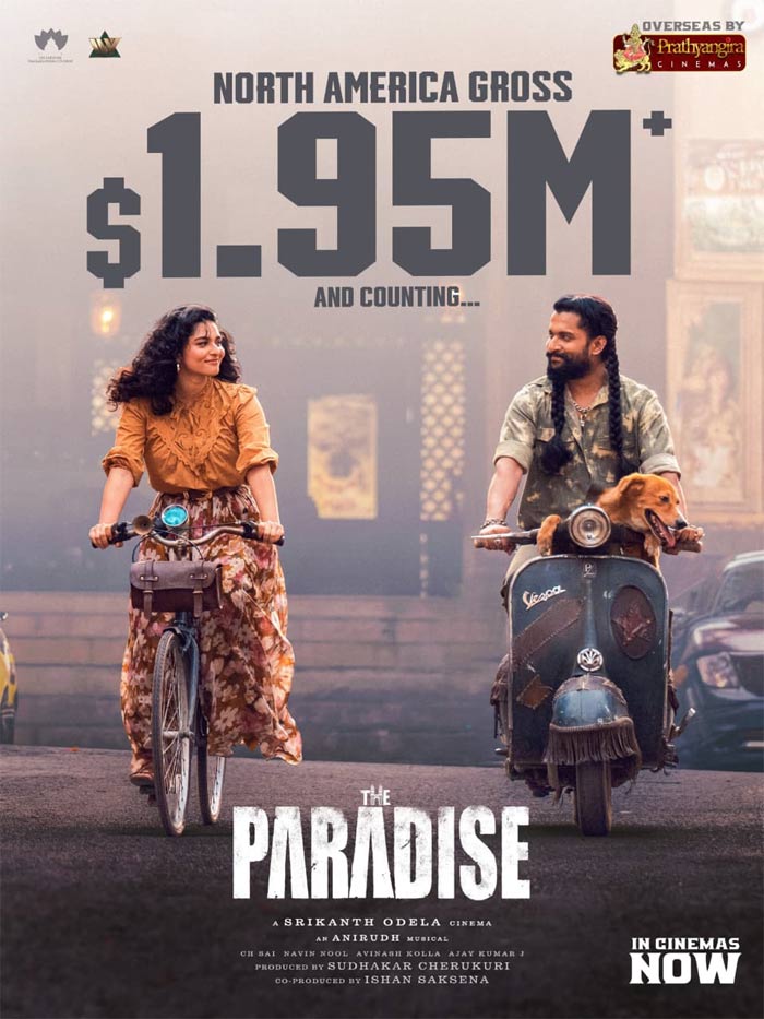 Paradise-US-Collections.jpg