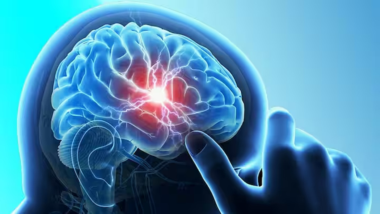brain.jpg