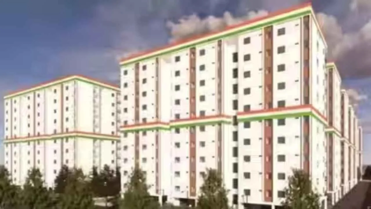 city5.2.jpg