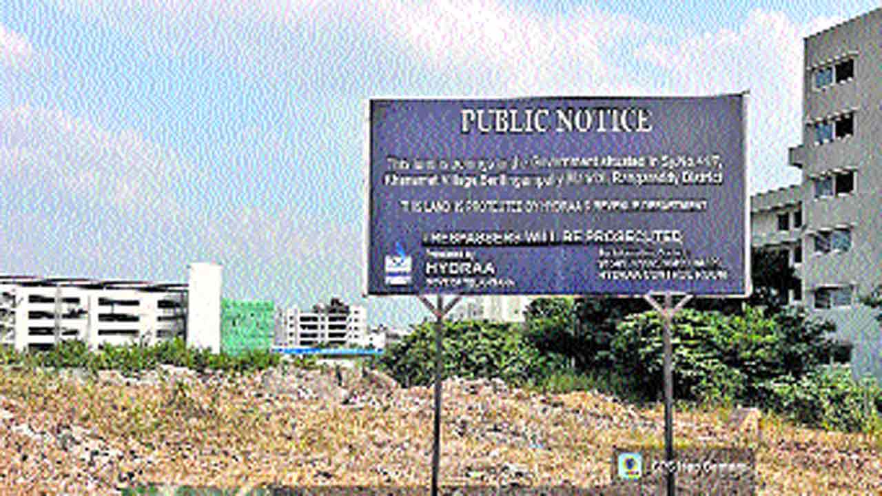 city5.2.jpg