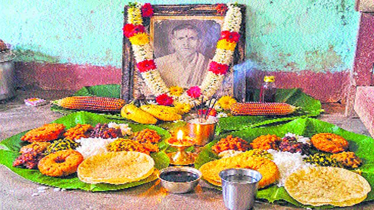medak1.jpg
