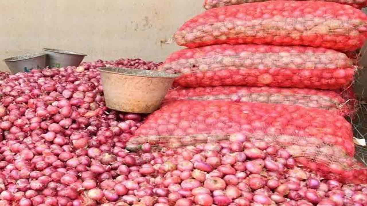 onion1.jpg