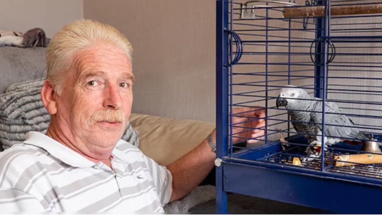 parrot2.jpg