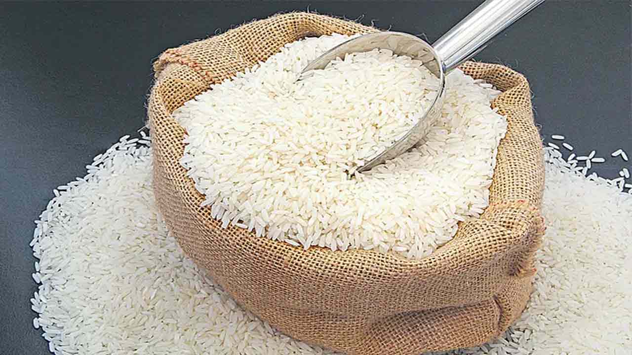 rice1.jpg