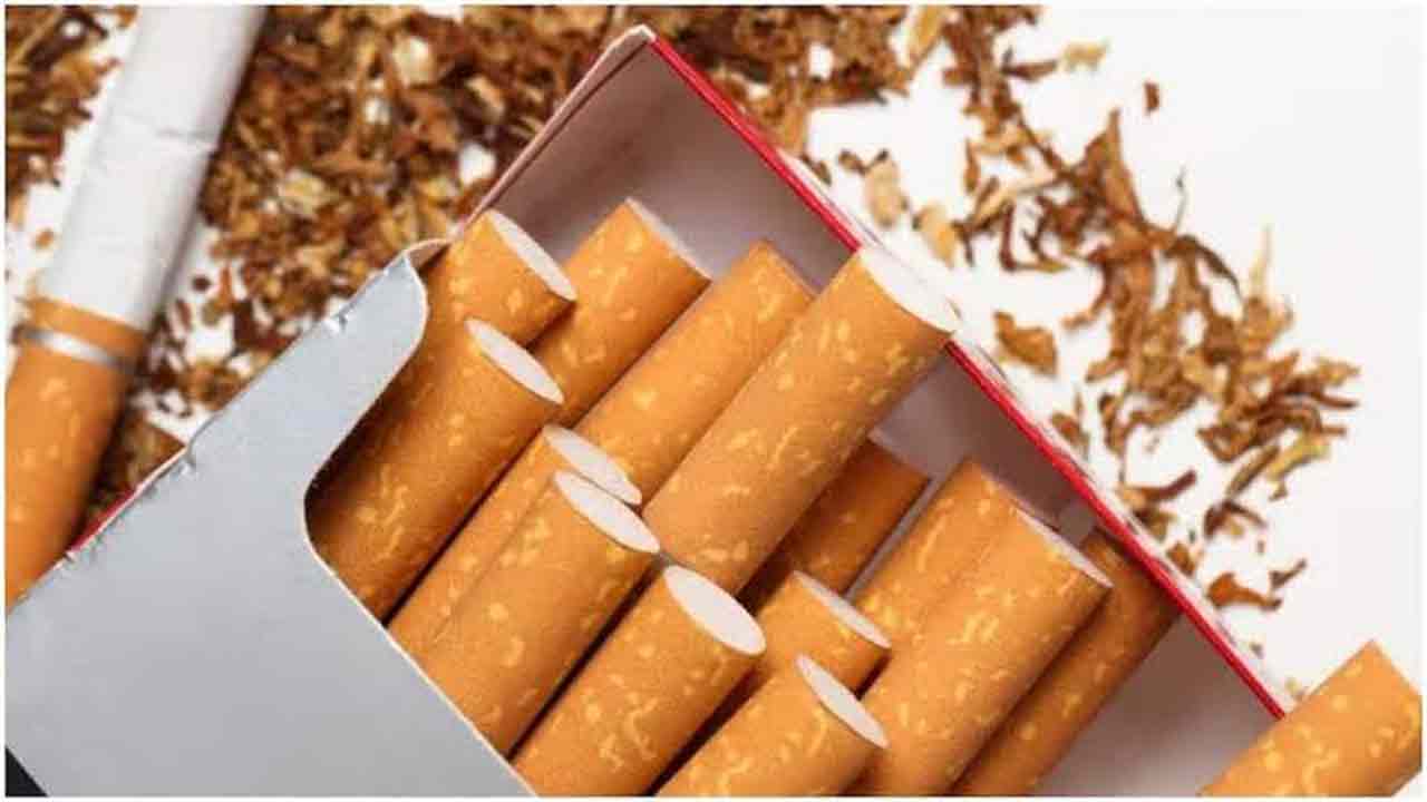 vv.jpg